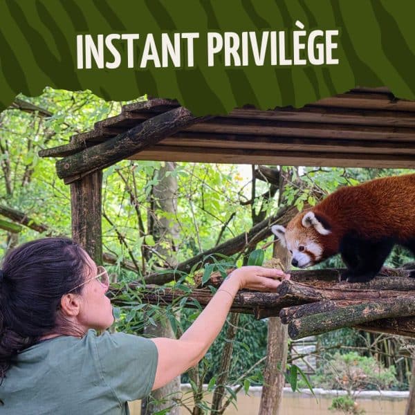 BON CADEAU - INSTANT PRIVILÉGIÉ - 2026 - non daté, en saison (de 1 à 6 pers)