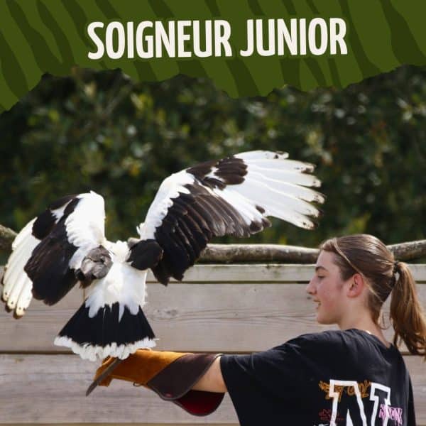 BON CADEAU - JUNIOR - 2026 non daté - de 9 à 14 ans