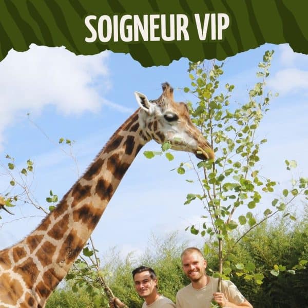 BON CADEAU - SOIGNEUR VIP - 2026 non daté - A partir de 15 ans