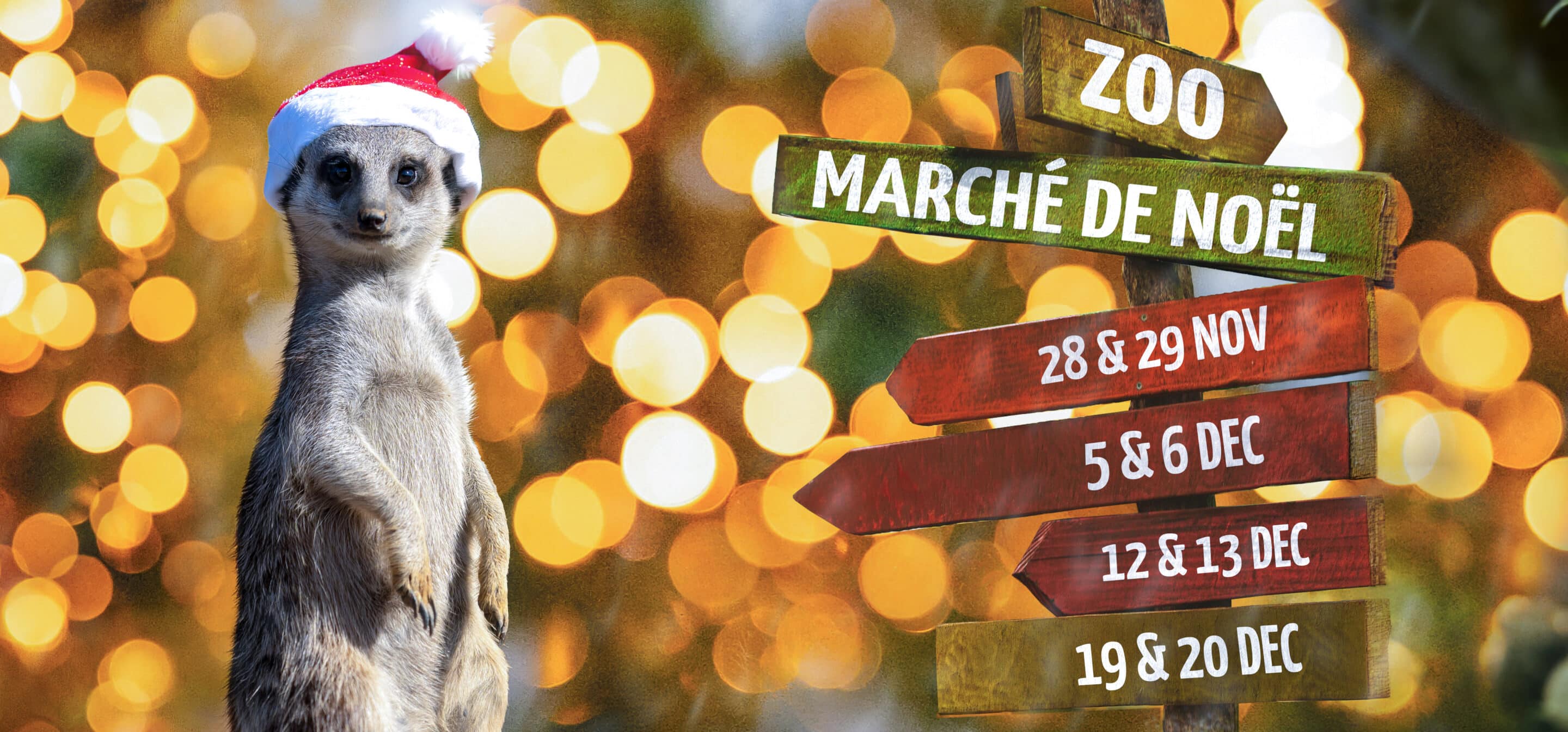 206 Halloween au zoo 2026